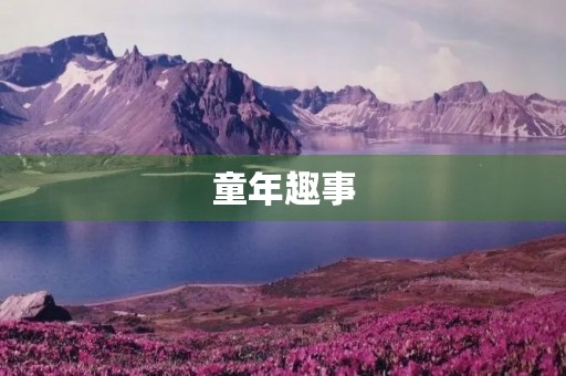 童年趣事