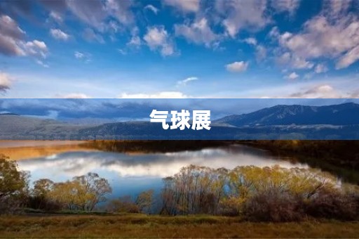 气球展 气球展