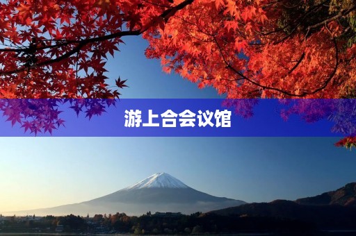 游上合会议馆