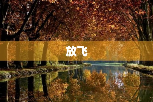 放飞