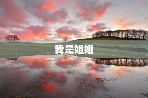 我是姐姐