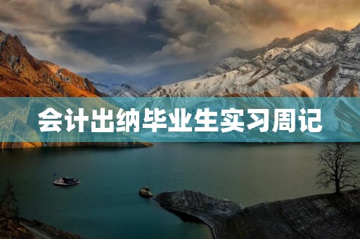 会计出纳毕业生实习周记 会计出纳毕业生实习周记