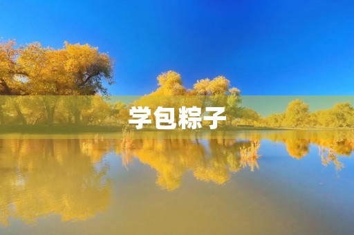 学包粽子 学包粽子
