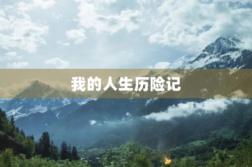 我的人生历险记