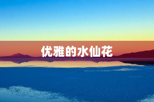 优雅的水仙花 优雅的水仙花