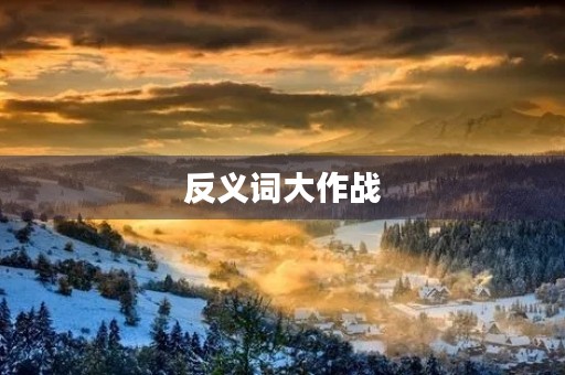 反义词大作战