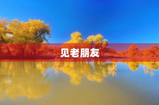 见老朋友 见老朋友