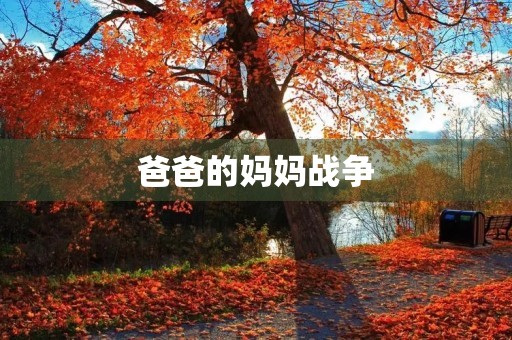 爸爸的妈妈战争