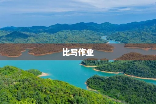 比写作业 比写作业