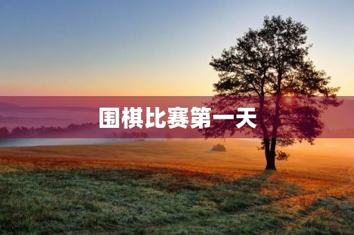围棋比赛第一天 围棋比赛第一天