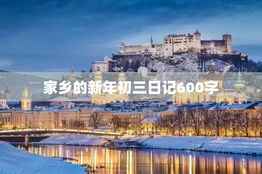 家乡的新年初三日记600字 家乡的新年初三日记600字