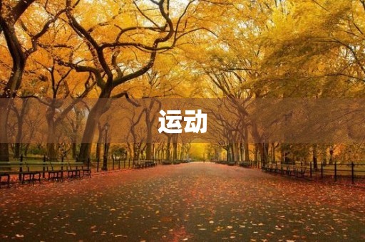 运动 运动