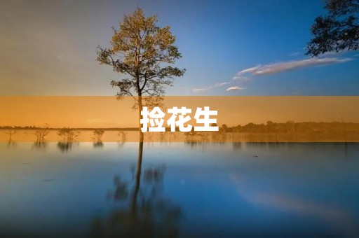 捡花生 捡花生