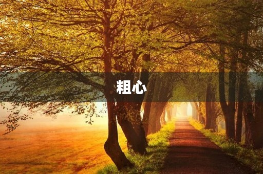 粗心 粗心