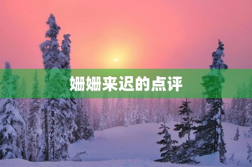 姗姗来迟的点评 姗姗来迟的点评