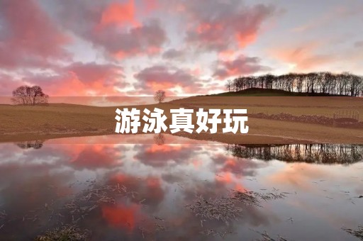 游泳真好玩