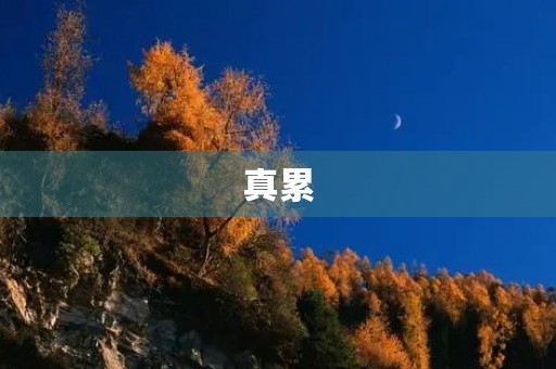 真累 真累