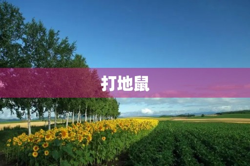 打地鼠 打地鼠