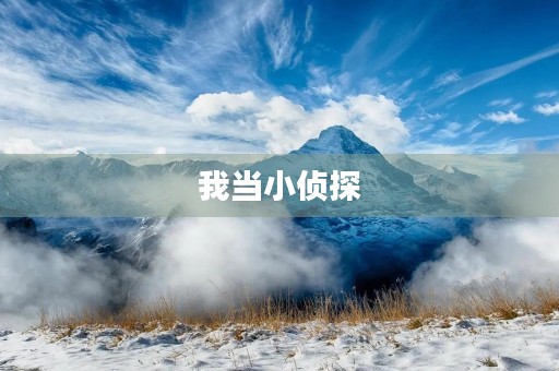 我当小侦探 我当小侦探