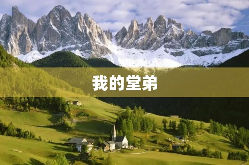 我的堂弟 我的堂弟