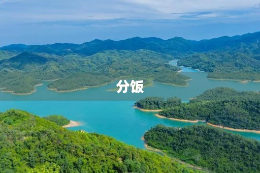 分饭 分饭