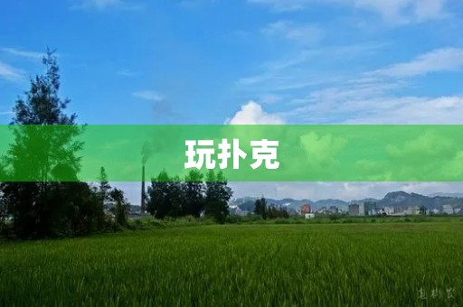 玩扑克
