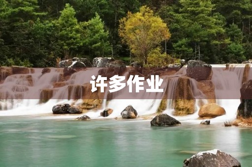 许多作业