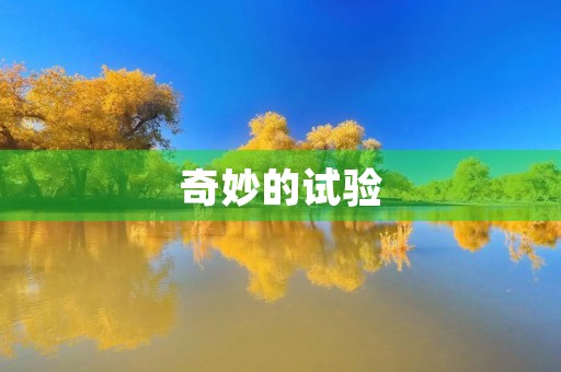 奇妙的试验