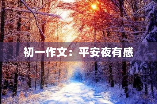 初一作文：平安夜有感