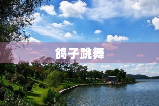 鸽子跳舞