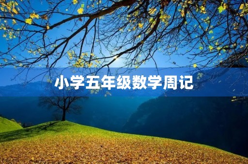 小学五年级数学周记