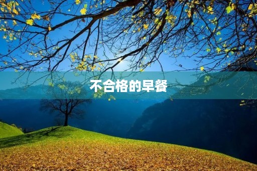 不合格的早餐 不合格的早餐