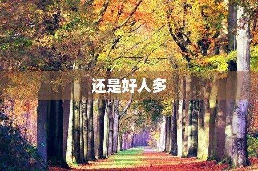 还是好人多