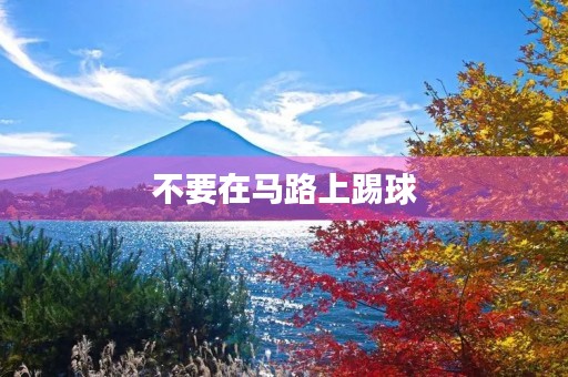 不要在马路上踢球 不要在马路上踢球