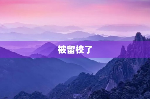 被留校了