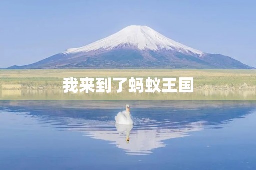 我来到了蚂蚁王国 我来到了蚂蚁王国