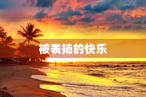 被表扬的快乐 被表扬的快乐
