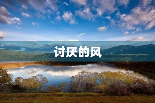 讨厌的风 讨厌的风