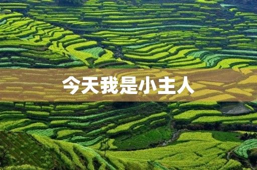 今天我是小主人 今天我是小主人