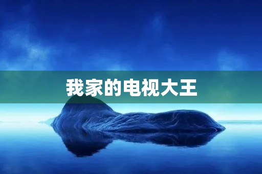 我家的电视大王 我家的电视大王