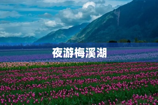 夜游梅溪湖 夜游梅溪湖