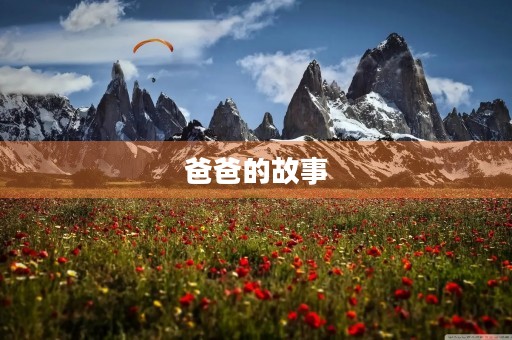 爸爸的故事 爸爸的故事