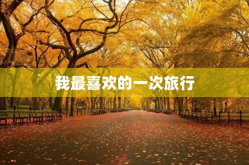 我最喜欢的一次旅行