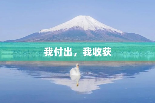 我付出,我收获 我付出,我收获