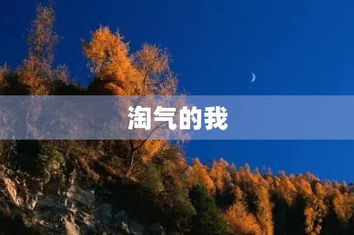 淘气的我 淘气的我