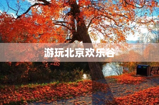 游玩北京欢乐谷