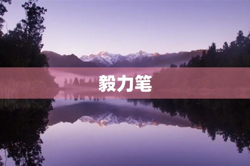 毅力笔 毅力笔