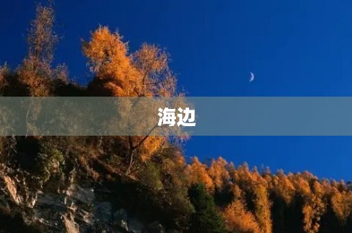 海边 海边
