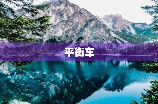 平衡车 平衡车