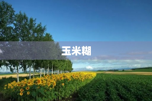 玉米糊 玉米糊